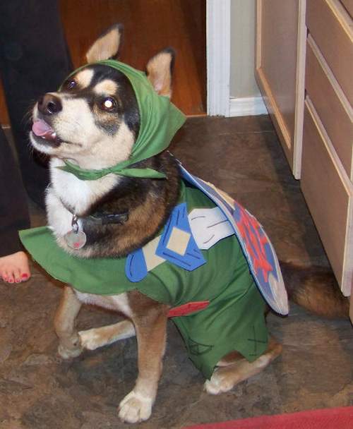 Link the Hyrule Dog of Zelda