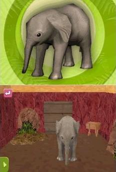 zoo keeper elephant