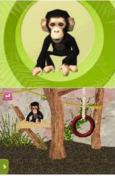 zoo keeper monkey