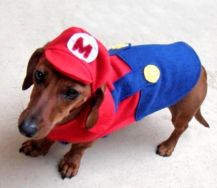 super mario brothers dog