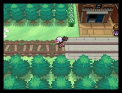 Pokemon BW Image 3